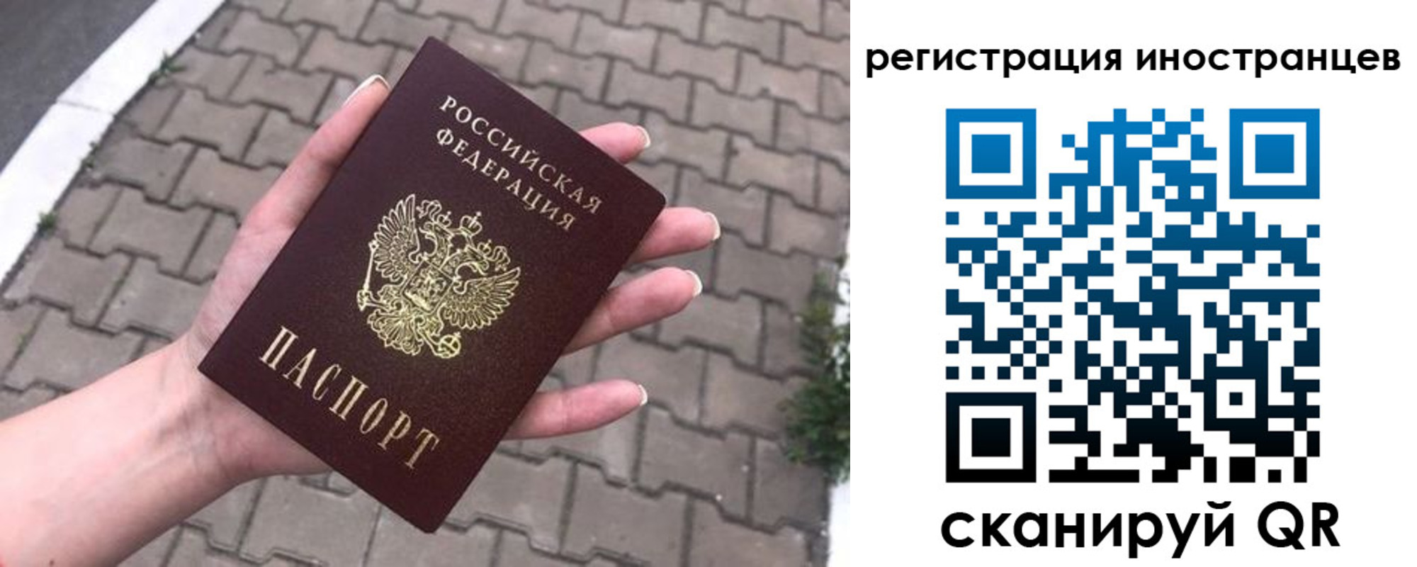 временная регистрация купить в Алексеевке